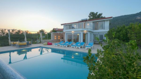 Eco Villa OZZY